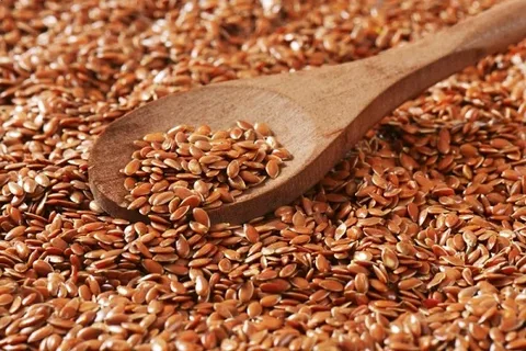 تصویر 4 از قیمت خرید تخم کتان صادراتی با فروش عمده